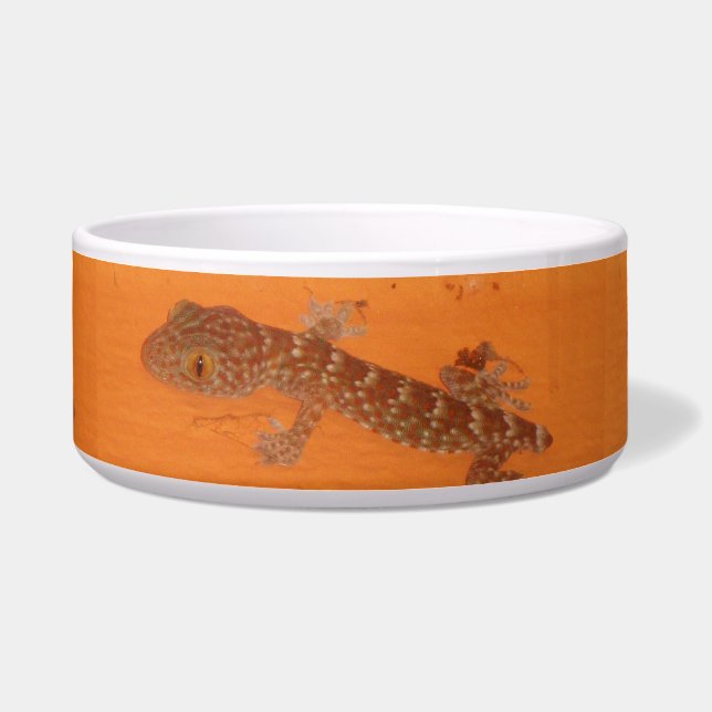 Baby Tokay Gecko Napf (Vorderseite)