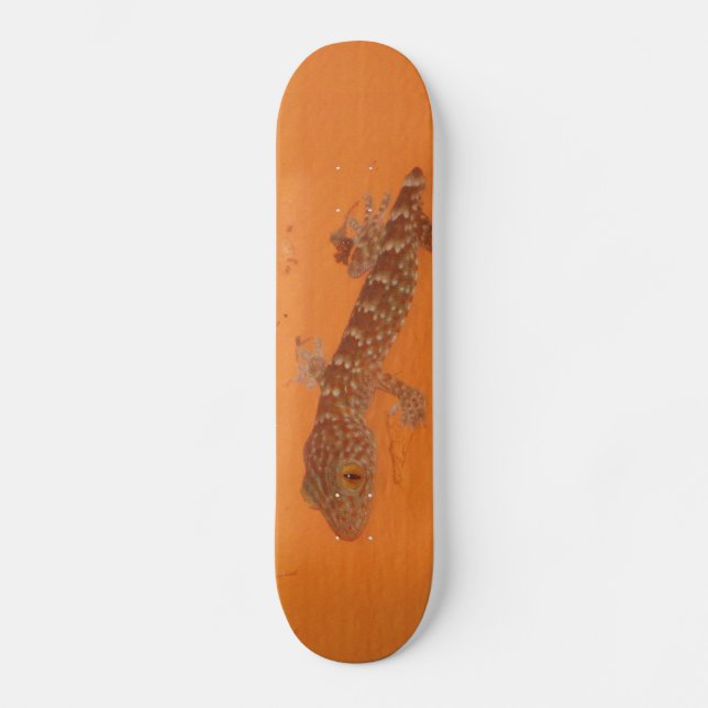 Baby Tokay Gecko Skateboard (Vorderseite)