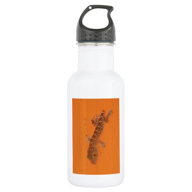 Baby Tokay Gecko Trinkflasche (Vorderseite)