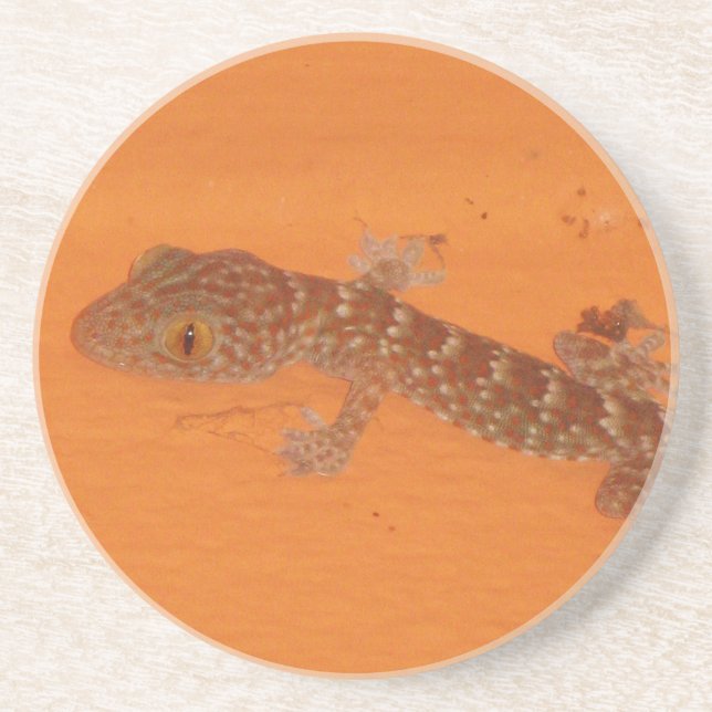 Baby Tokay Gecko Untersetzer (Vorne)