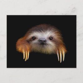 Baby-Trägheit Postkarte