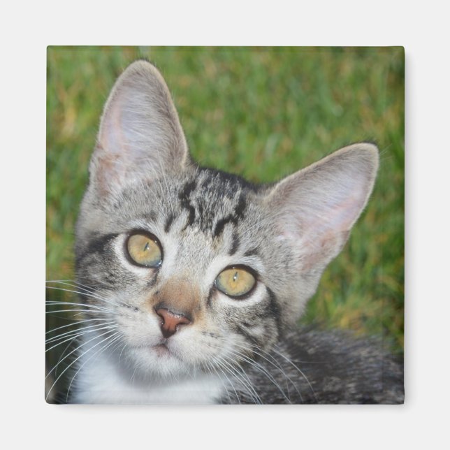 Baby Trinity Magnet (Vorne)