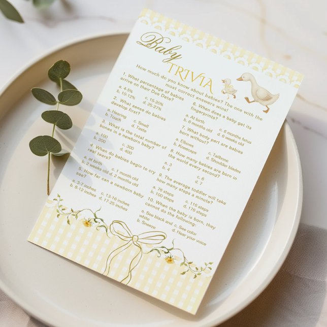 Baby Trivia Silly Goose Gingham Baby shower game (Von Creator hochgeladen)