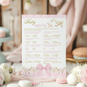 Baby Trivia Silly Goose Pink Gingham Babyparty