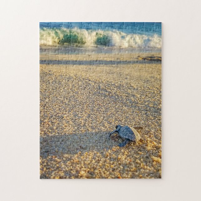 Baby Turtle zu Fuß zum Ozean in Los Cabos (Vertikal)