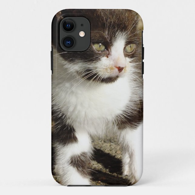 Baby Tuxedo Kitten - Cat iPhone 5 Fall Case-Mate iPhone Hülle (Rückseite)
