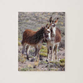 Baby und Mutter Burro