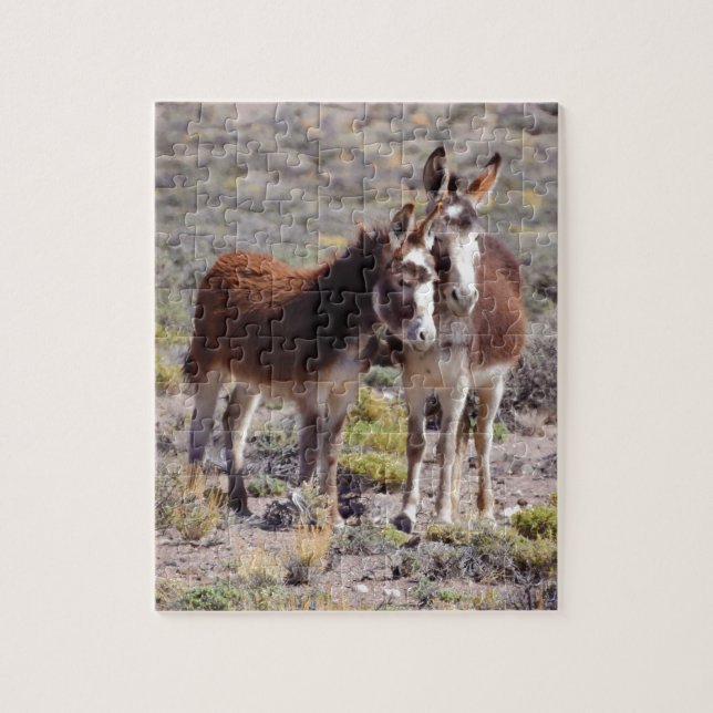 Baby und Mutter Burro (Vertikal)