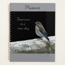 Baby-Vogel-Planer
