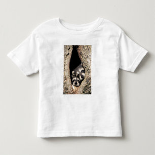 Baby-Waschbären in einer Baumhöhle Procyon Kleinkind T-shirt