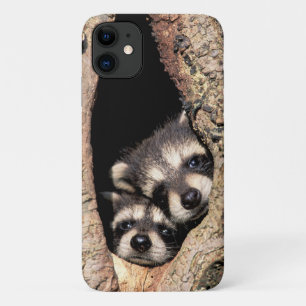 Baby-Waschbären spähen aus einem Baum heraus Case-Mate iPhone Hülle