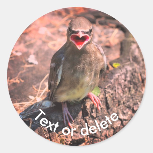 Baby Waxwing Bird Nature Personalisiert Runder Aufkleber (Vorderseite)