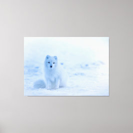 Baby White Artic Fox im Schnee Leinwanddruck