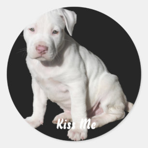 Baby White Pitbull Puppy Runder Aufkleber
