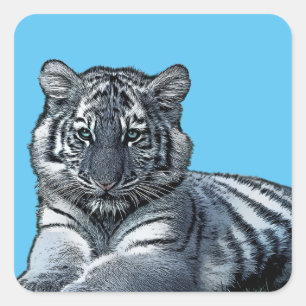 Baby-White-Tigercub-Safari Quadratischer Aufkleber