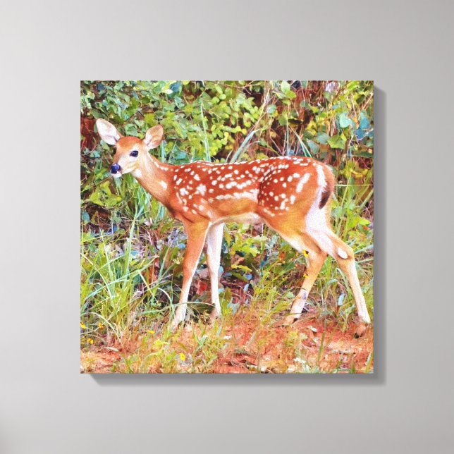 Baby Wild Deer Fawn Leinwand Printmedien (Vorderseite)