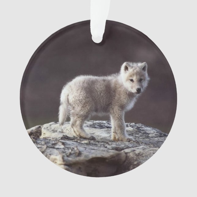 Baby-Wolf-Verzierung Ornament (Vorderseite)