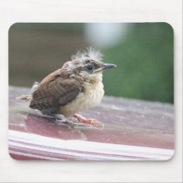 Baby Wren Hair Model Mousepad
