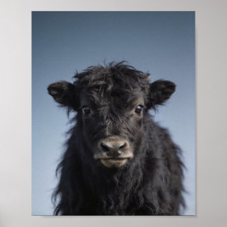 Baby-Yak-Porträt – Süße Tier-Wandkunst für das Kin Poster