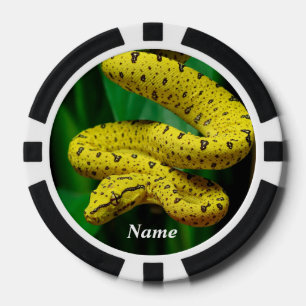 Baby Yellow Phase Green Tree Python Snake Pokerchips