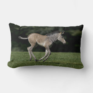 Baby Zebra Pillow Lendenkissen