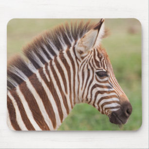 Baby-Zebrakopf, Tansania Mousepad