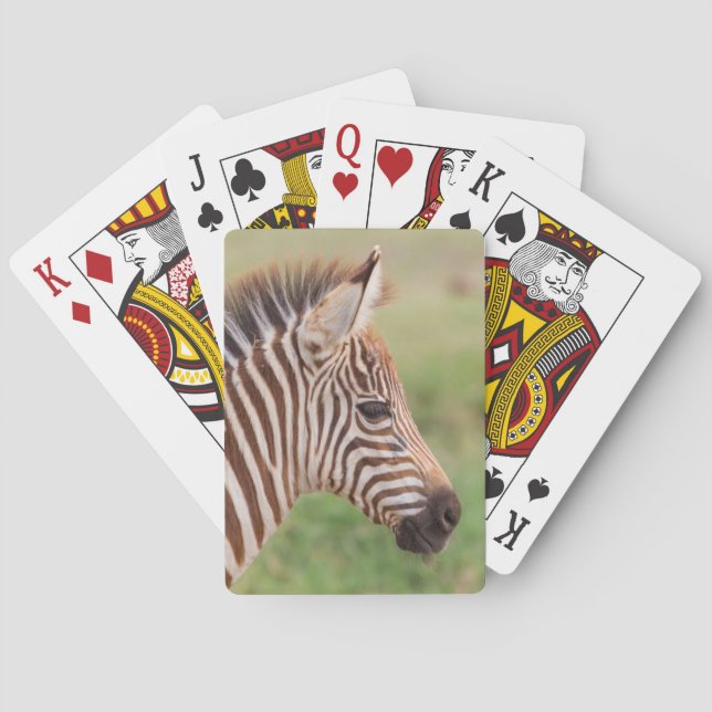 Baby Zebrakopf, Tansania Spielkarten (Rückseite)