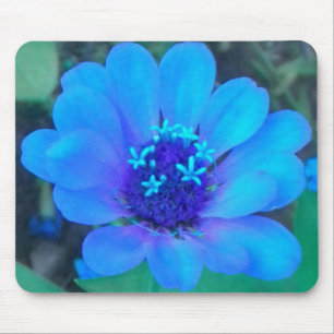 Baby Zinnia in Blue Mousepad
