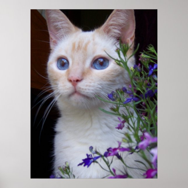 BabyBlues Poster (Vorne)