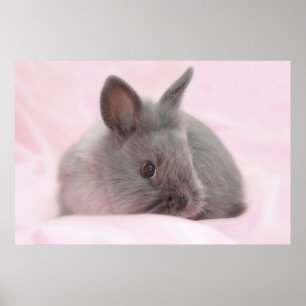 Babybrillenposter Poster