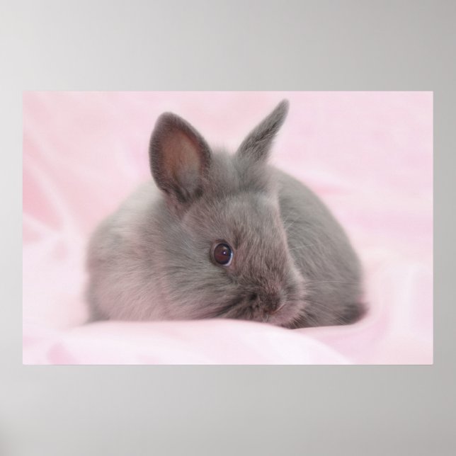 Babybrillenposter Poster (Vorne)