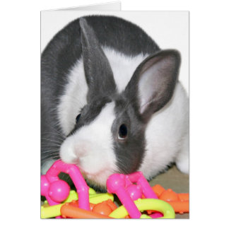 Babybunny mit Babyspielzeug