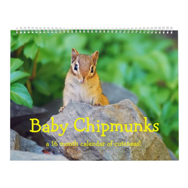 BabyChipmunks 2016/2017 (16-monatiger Kalender) Kalender (Titelbild)