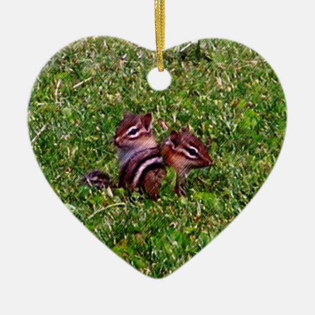 Babychipmunks-Tiernatur-Verzierung Keramikornament (Vorne)