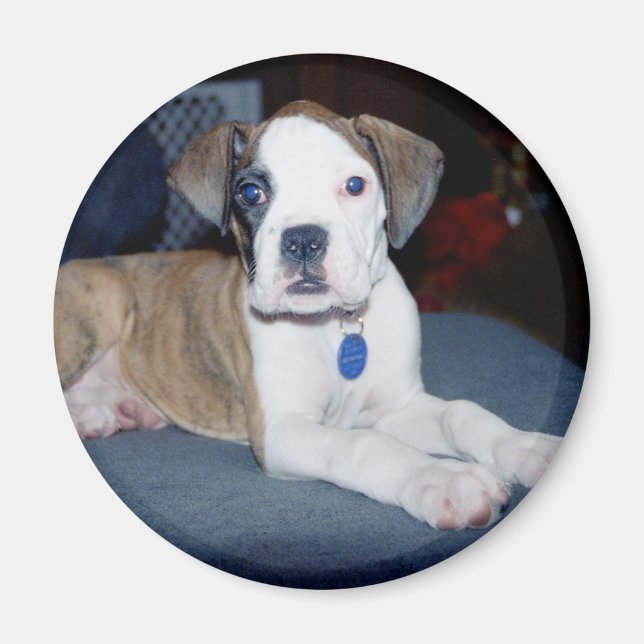 BabyChloe2 Magnet (Vorne)