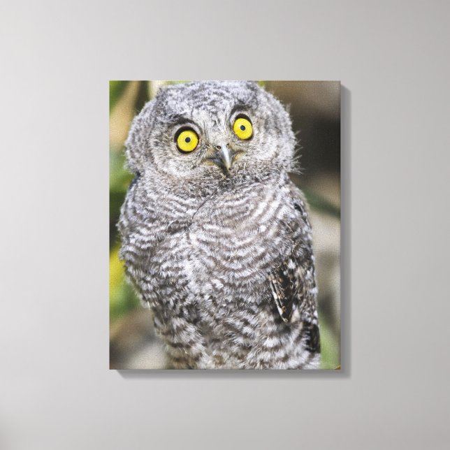 Babycreme Leinwanddruck (Vorderseite)