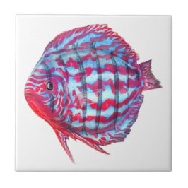 BabyDiscus Fliese