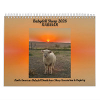 Babydoll Southdown Schafe 2026 NABSSAR Kalender