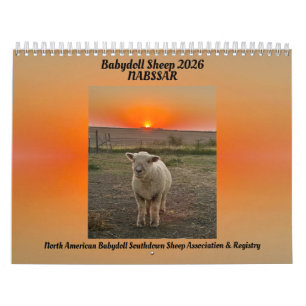 Babydoll Southdown Schafe 2026 NABSSAR Kalender