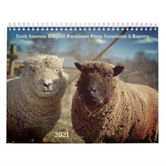 Babydoll Southdown Sheep 2021 Calendrier NABSSAR