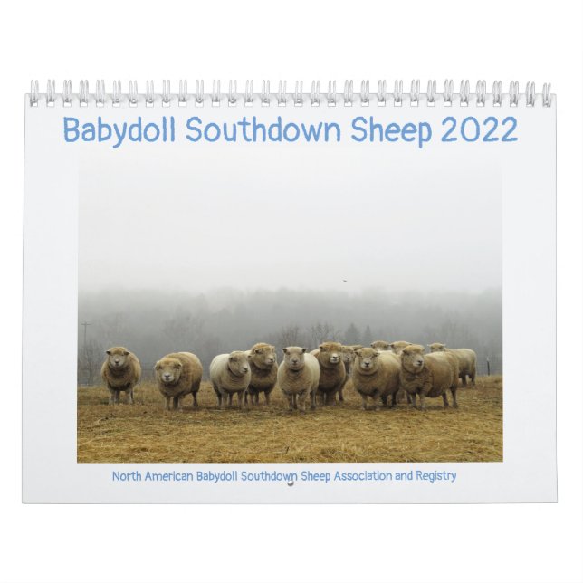 Babydoll Southdown Sheep 2022 NABSSAR-Kalender Kalender (Titelbild)