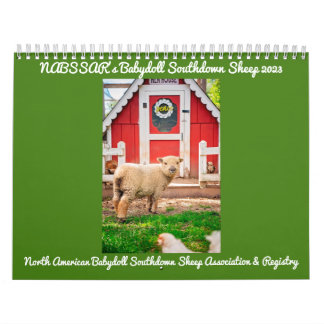 Babydoll Southdown Sheep 2023 Calendrier NABSSAR