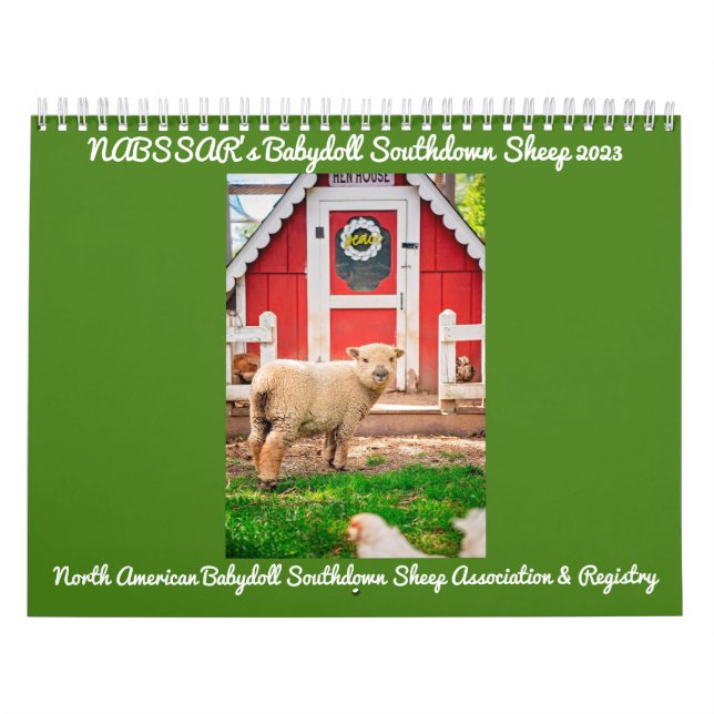 Babydoll Southdown Sheep 2023 Calendrier NABSSAR (Protection)