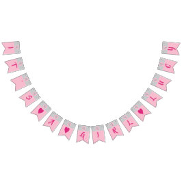 Babydusche Frack Banner Rosa/Grau Dolphin