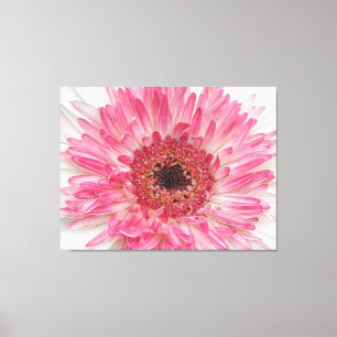 Babydusche Rosa Blume - rosa Design Leinwanddruck