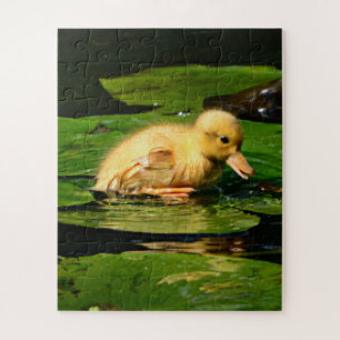 Babyente auf Lily Pad
