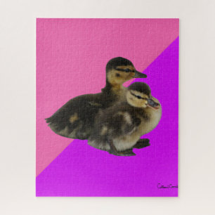 Babyenten auf rosa Himbeere und Lila Sorbet