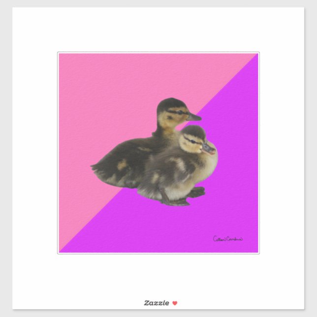 Babyenten auf rosa Himbeere und Lila Sorbet Aufkleber (Blatt)