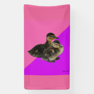 Babyenten auf rosa Himbeere und Lila Sorbet Banner