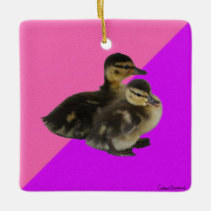 Babyenten auf rosa Himbeere und Lila Sorbet Keramikornament
